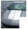 2010-12 Mustang Bulge Hood Trunk Stripe - Hardtop Glass Roof - No Wing